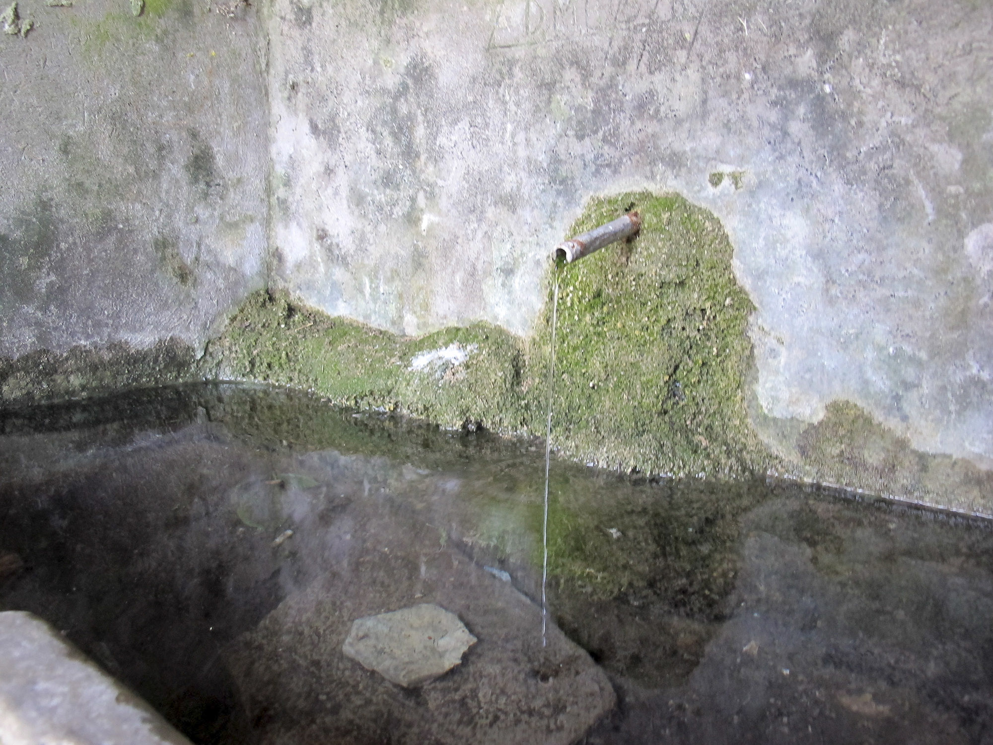 San Mamante, acqua che aiuta la lattazione 2